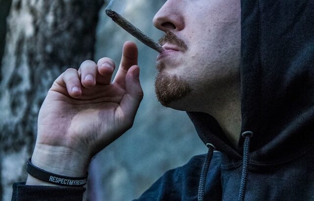 cbd olie 10 procent